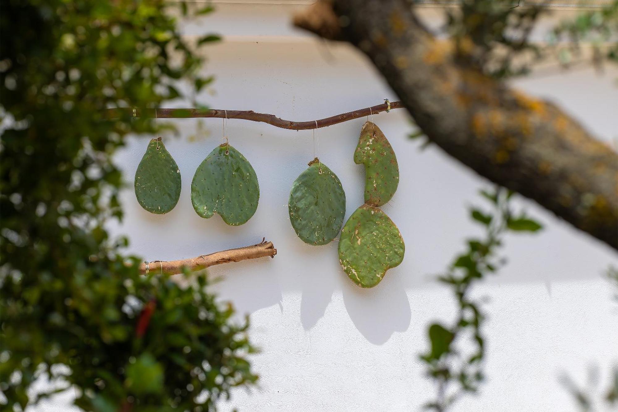 Hotel Masseria Fontanelle Ugento Luaran gambar